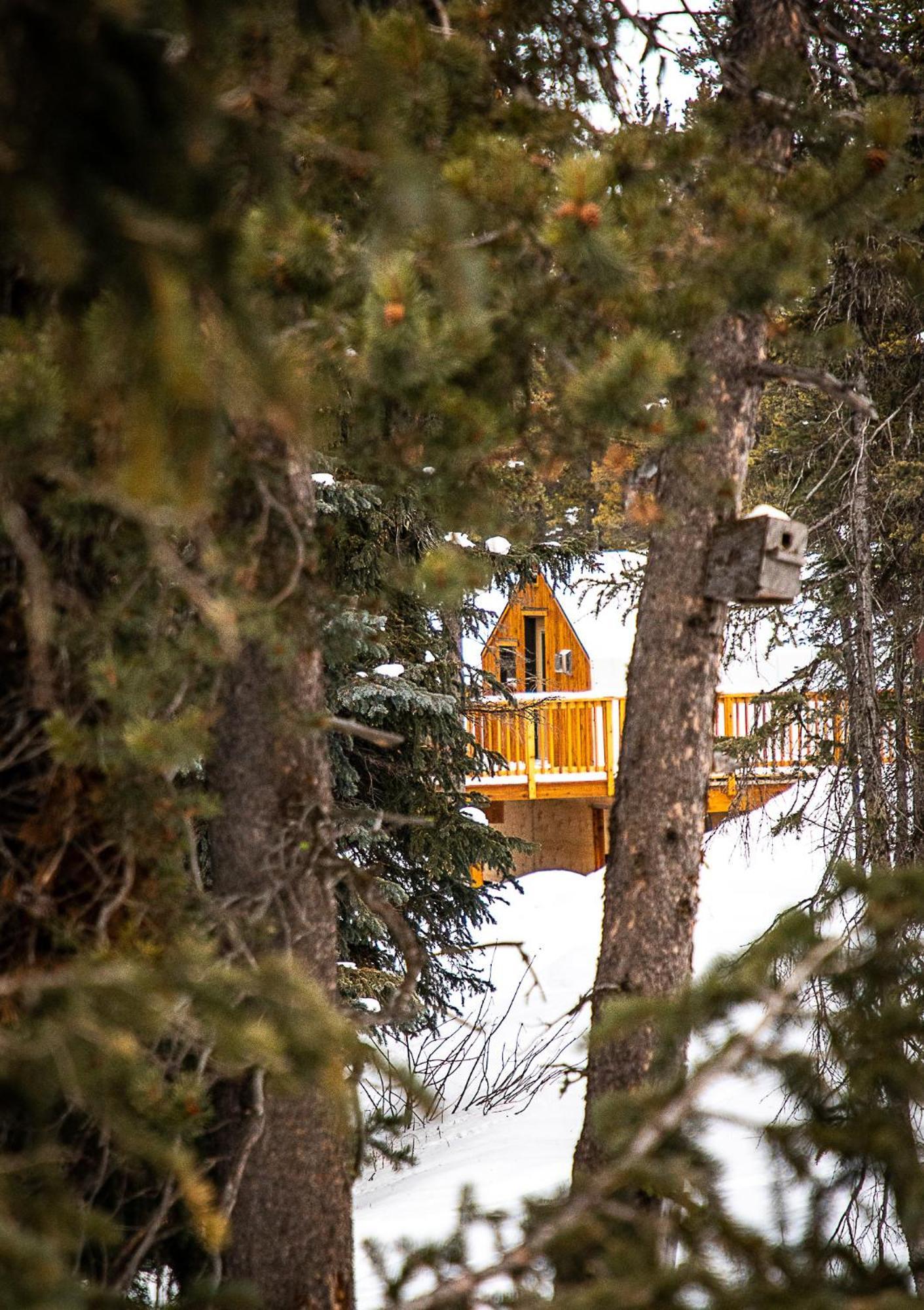 Mount Engadine Lodge Kananaskis